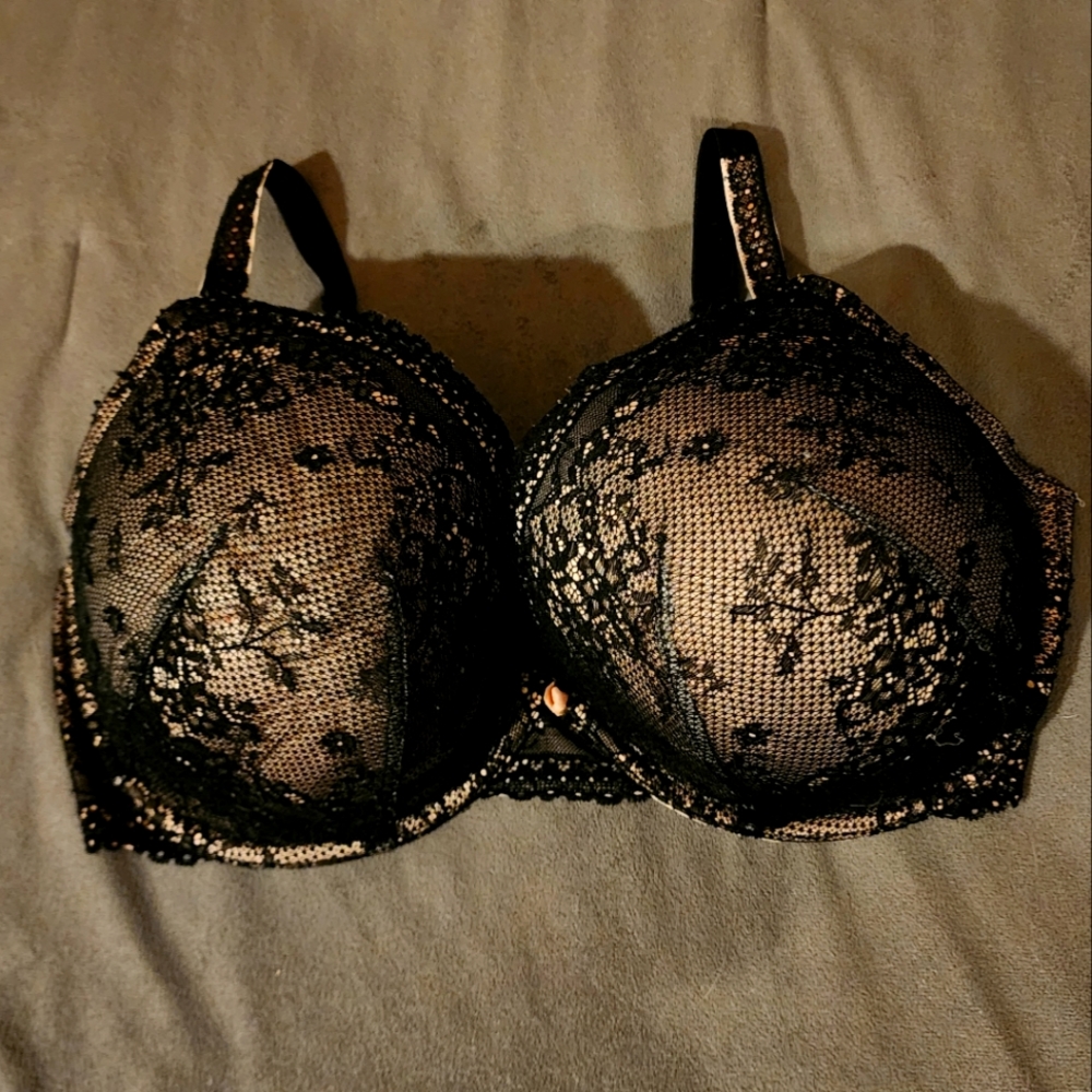 Torrid Bra
